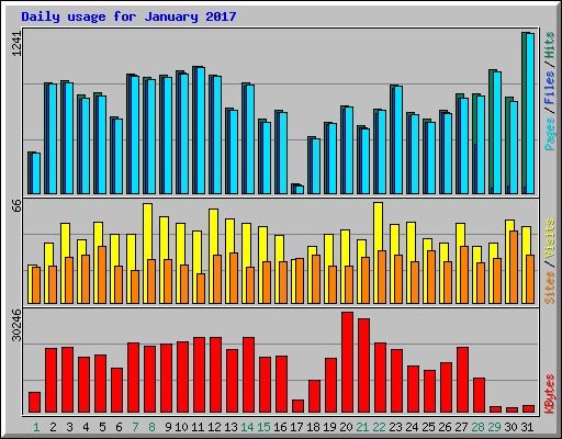 Daily usage for January 2017