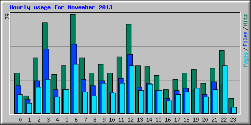 Hourly usage for November 2013