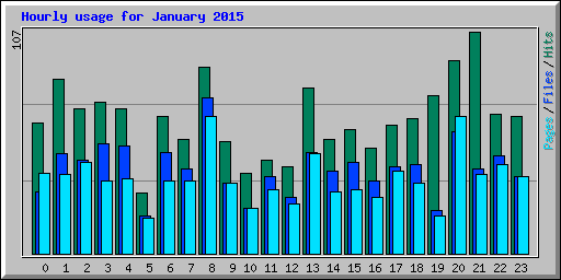 Hourly usage for January 2015
