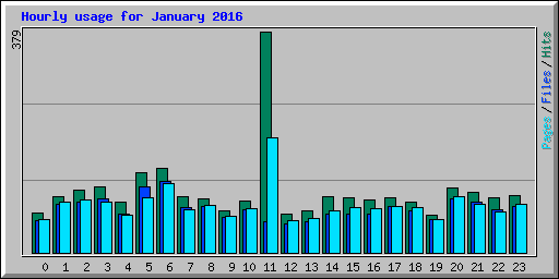 Hourly usage for January 2016