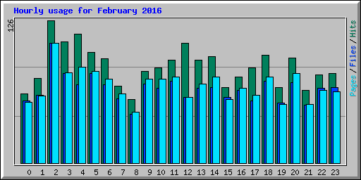 Hourly usage for February 2016