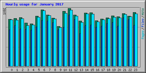 Hourly usage for January 2017