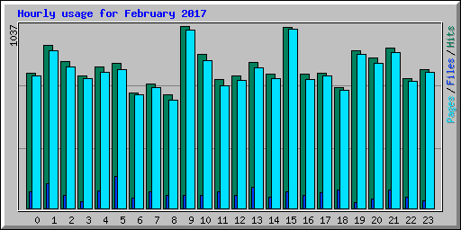 Hourly usage for February 2017