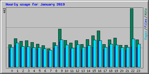 Hourly usage for January 2019