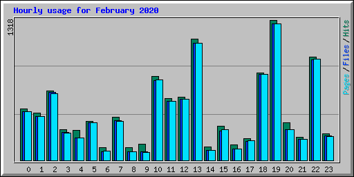 Hourly usage for February 2020