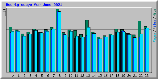 Hourly usage for June 2021